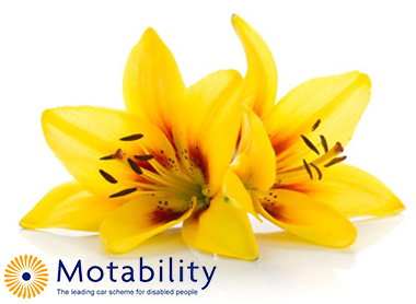 Renault Motability 